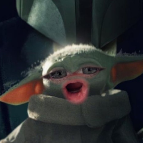 Meet your Posher, Mika - Picture 1 of 1